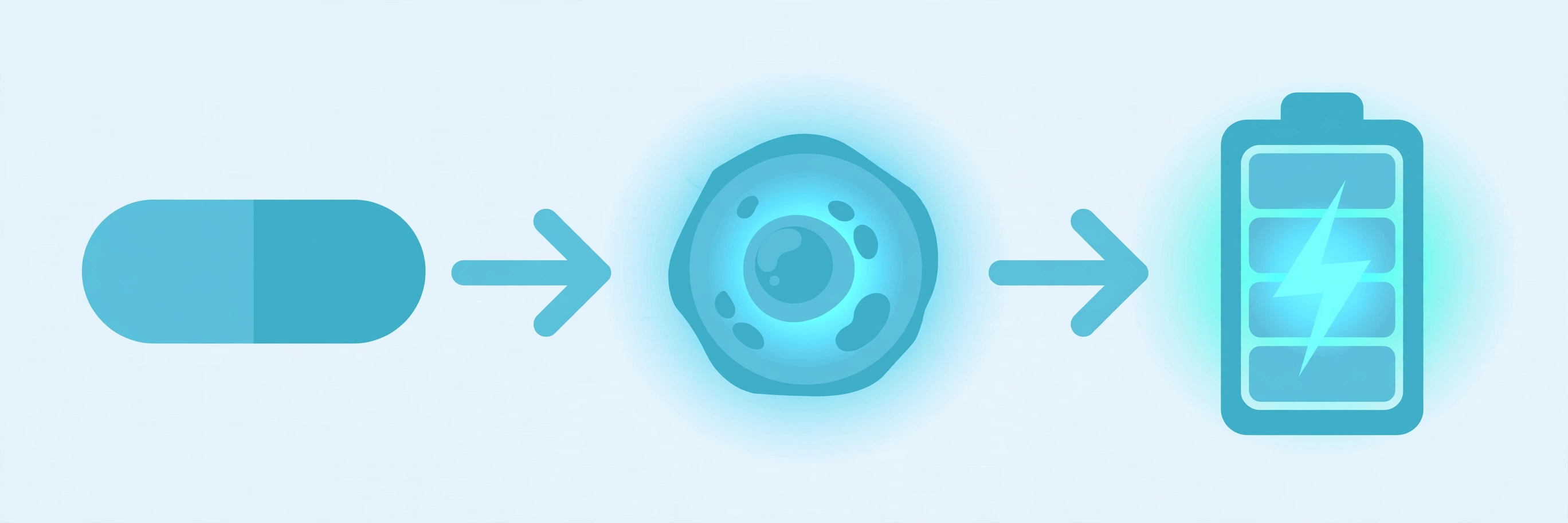 Simple three-step illustration of the NMN pathway: a capsule, a cell, and cellular energy